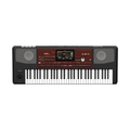 Teclado Arreglista Profesional KORG Pa700