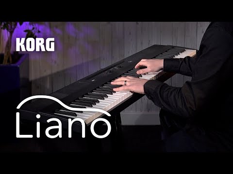 Piano Digital Korg Liano 88